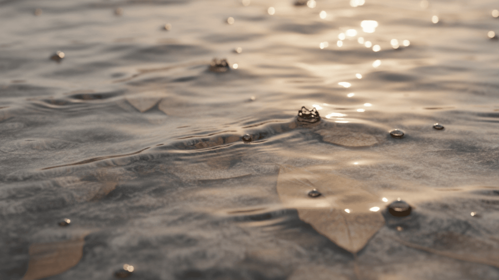 A group of Spavia franchisees outside a franchise location